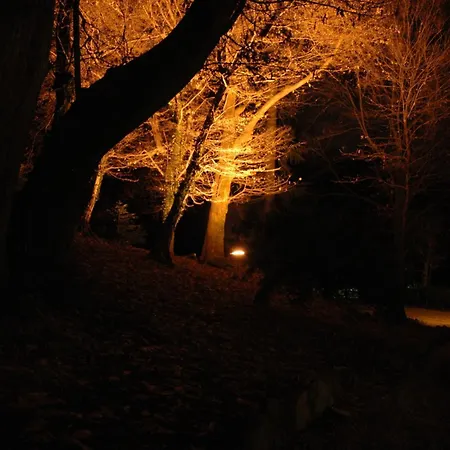 Ristorante Falchetto