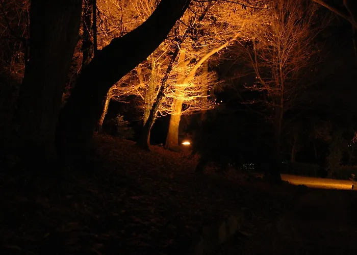 Ristorante Falchetto